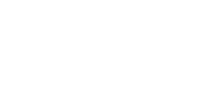 Stoneflex